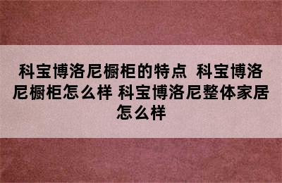 科宝博洛尼橱柜的特点  科宝博洛尼橱柜怎么样 科宝博洛尼整体家居怎么样